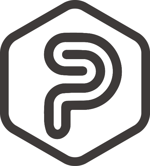 黑色六邊形字母P矢量logo logo png