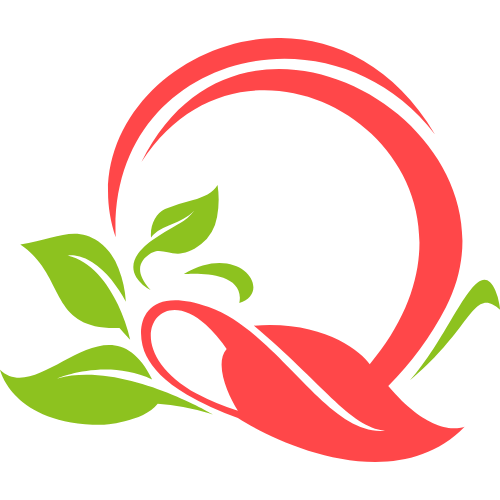  logo png