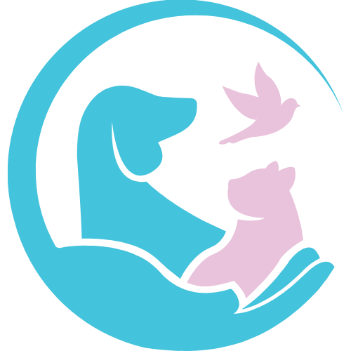  logo png