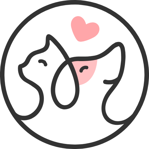  logo png