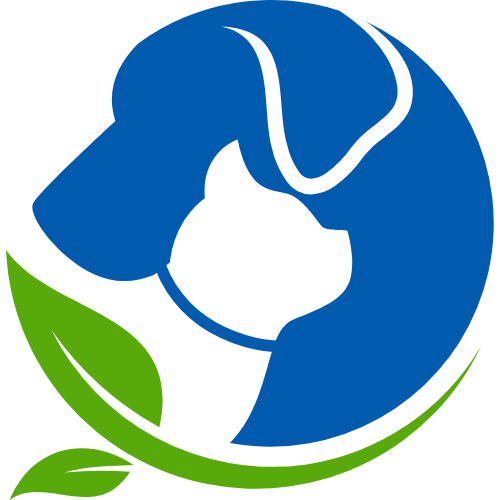  logo png