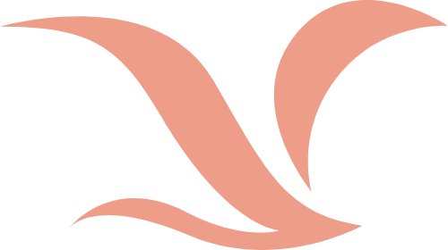 簡(jiǎn)約曲線海鷗飛鳥(niǎo)矢量圖形 logo png